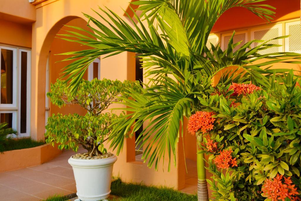 Terra Do Sol Hotel 3*